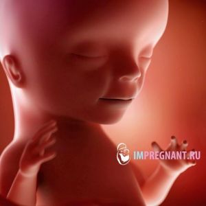 15 ������� ��������: ������� � �����, �� ���������� � �������