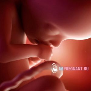 22 ������� �������� - �� ���������� � ������� � ���������� �����, ���������