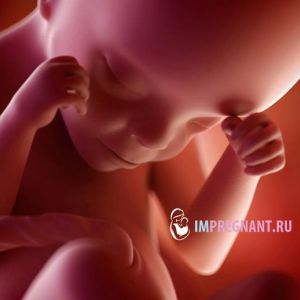 24 ����� ��������: ���������, �� ���������� � ������� � ���������� �����