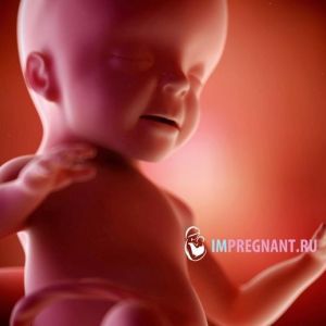 26 ������� ��������: �������� �����, ����, �� ����������