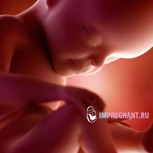 27 ������ �������� - �� ���������� � �������