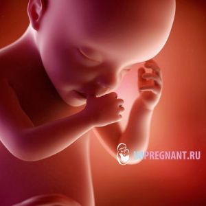 30 ������ ��������: �� ����������, �� ������� �����, ����������� ��������� �����