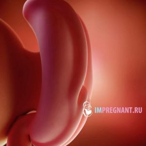 4 ������� ��������: ���� �����, ��, �� ����������