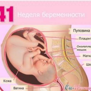41 ������� �������� ������ ������