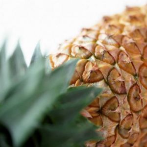 �������: ������� ���������� ����