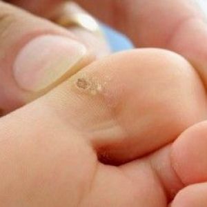 ��������� � ���� - ������� �� ����� � ��������� ������ ���������