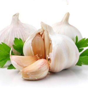 ֳ���� ���� �������