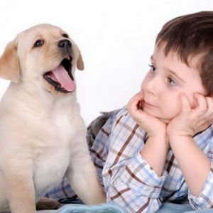 ĳ�� � ������� �������