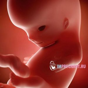 ���`��� ������ �������� - �� ���������� � ���������� ������� � �����