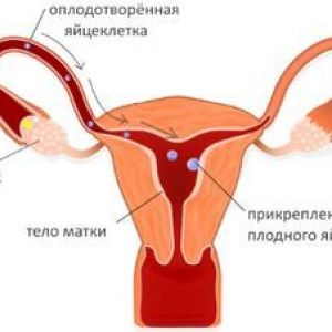 �������� ���������� �� ������������ ��� ���������� ��������