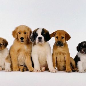 ����� ��������, ��� ������ ��� ������� ������