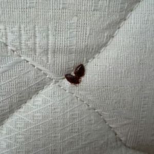 �� ��������� �� ��������� �����