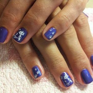 �� �������� ������� ������� shellac � �������� ������?