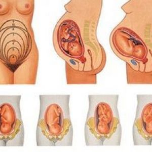 �� ��������� �������� ����� ��������