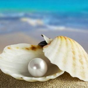 �� ��������� �� ��������� �������� � �������