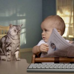 ʳ��� � ������ - �� � �����