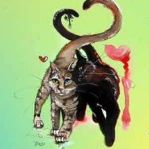 ʳ��� ���� �`���� �� ����������