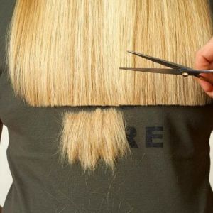 ̳������ �������� ������� �� �����
