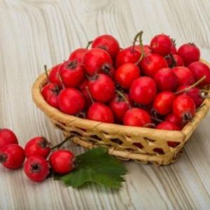 �� ����� ��� ��� �������� �� ������ �������?