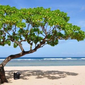 ���� ��� - ������ ��������� ��� ����� ����������