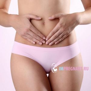 ������ ������� ��������: ������ � �������