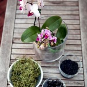 ���� �� ���� ������� - ������ ������ ���������