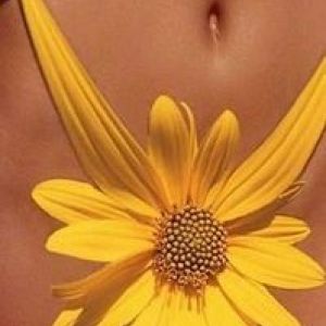 ������ ���� ���� ����� ��������