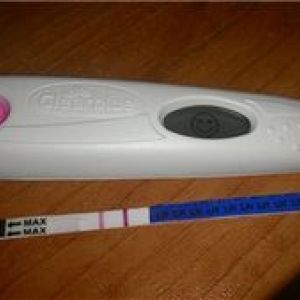 ���� ����� ������� ���� ��������