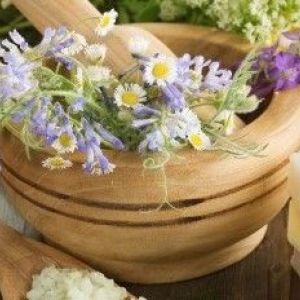 ����� ��� ���� �������: &laquo;��������&raquo; ������� �����