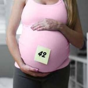 �������� 42 ����� ��������