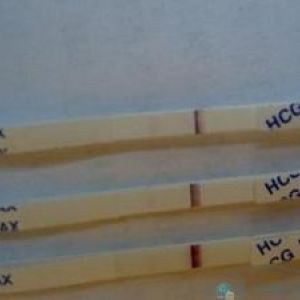 � ���� �������� ���� ����������